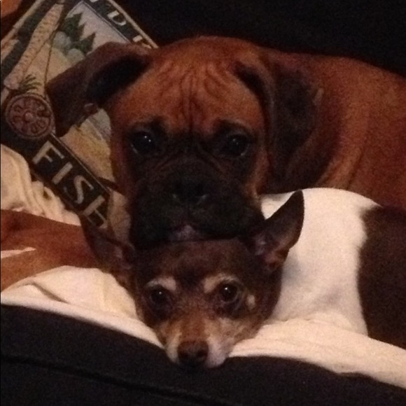 Meet your Posher, Chris - Picture 5 of 16